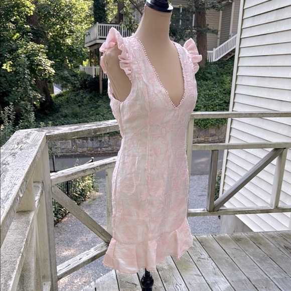 Hello Molly Keep Your Dreams Blush Jacobean Embellished Mini Dress US Size 6 NWT - Picture 4 of 15